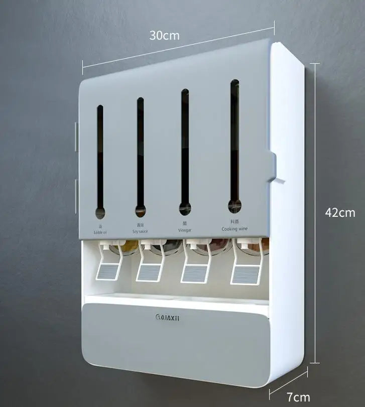 Wall Mounted Spice Organizer